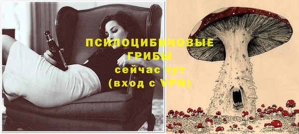 амф Няндома