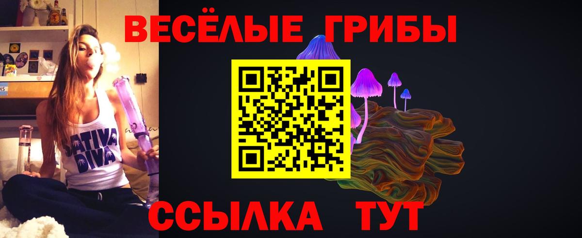 Шатура  Галлюциногенные грибы ЛСД  Вход с VPN 
